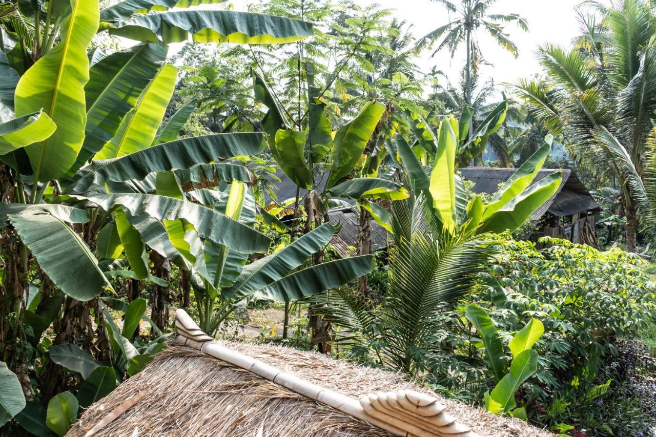 Bali Bamboo Jungle Huts And Hostel Tampaksiring Exterior foto