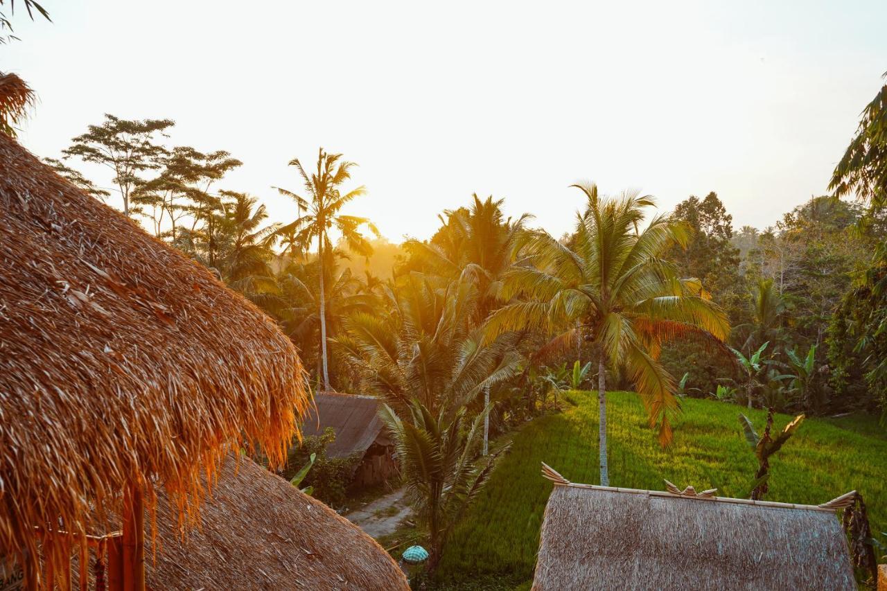 Bali Bamboo Jungle Huts And Hostel Tampaksiring Exterior foto